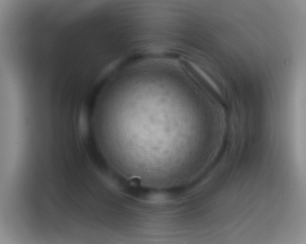X0000114430216200910231240