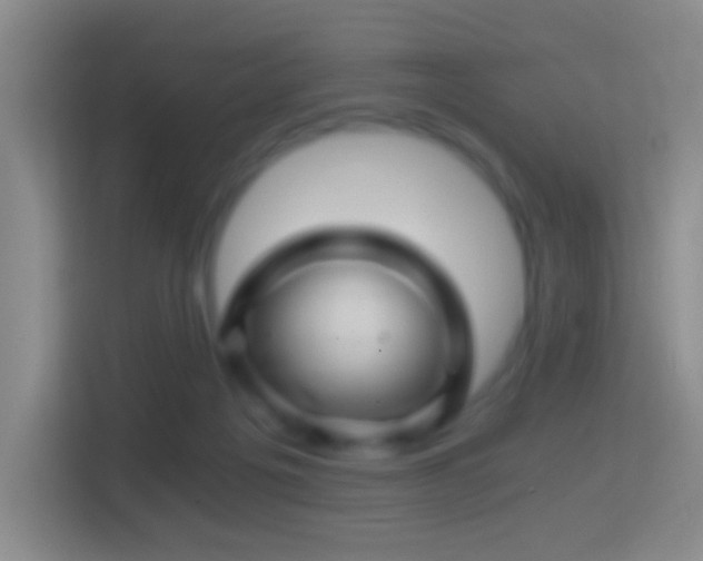 X0000114430217200910231240
