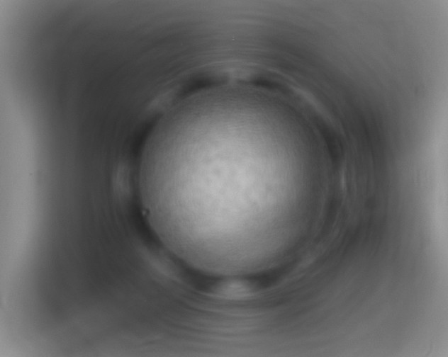 X0000114430218200910231240