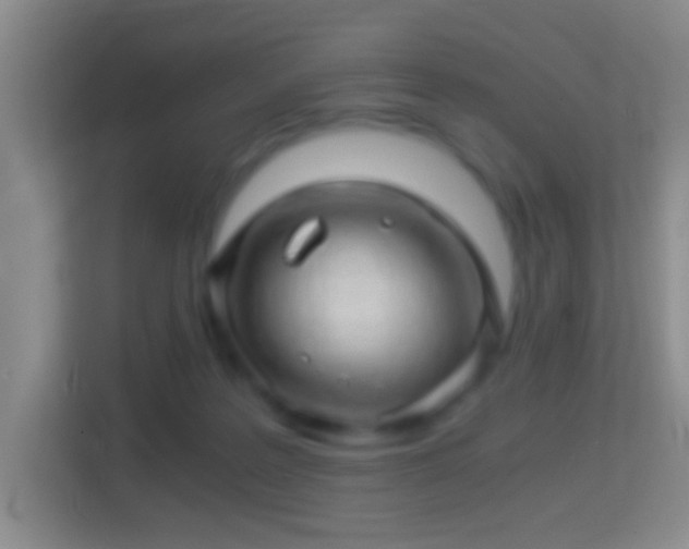 X0000114430219200910231240