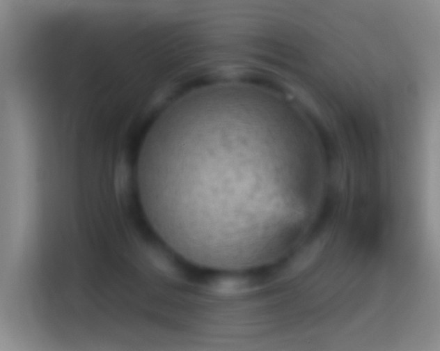 X0000114430220200910231240