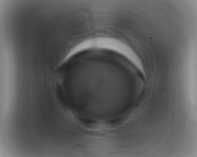 X0000114430223200910231240