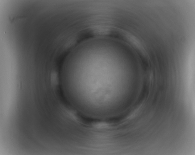 X0000114430224200910231240
