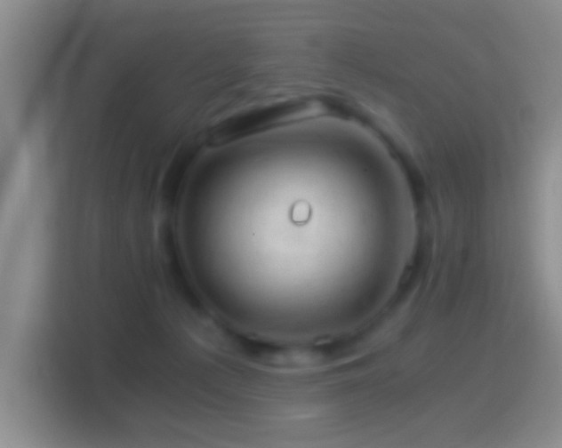X0000114430225200910231240