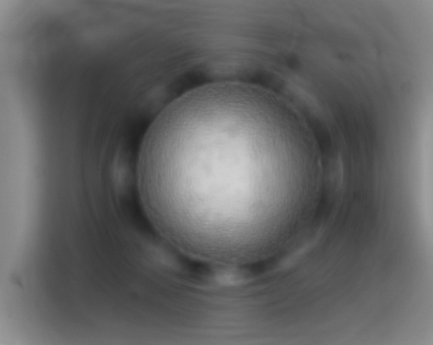 X0000114430226200910231240