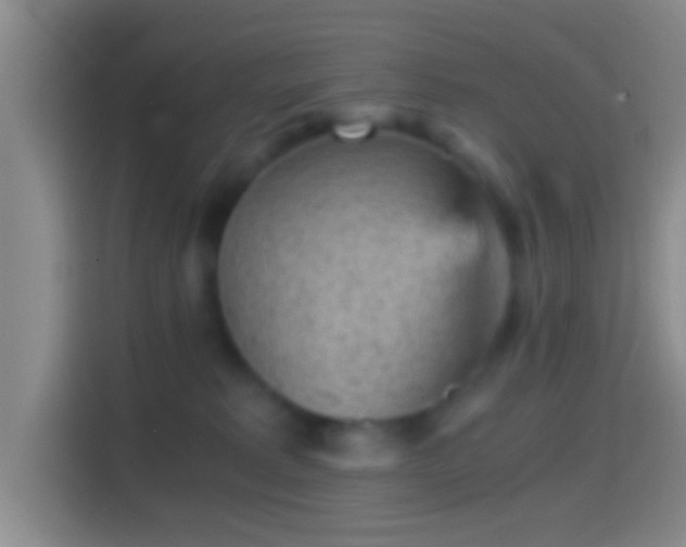 X0000114430229200910231240