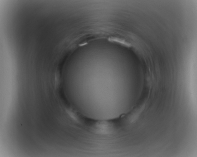 X0000114430231200910231240