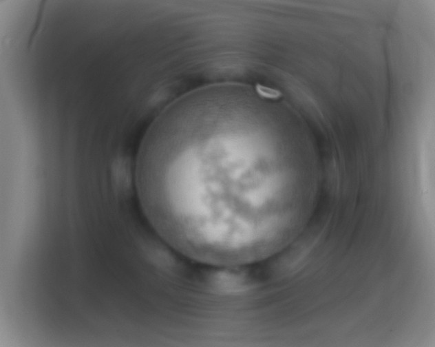 X0000114430232200910231240
