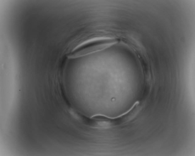 X0000114430233200910231240