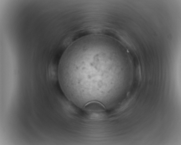 X0000114430234200910231240