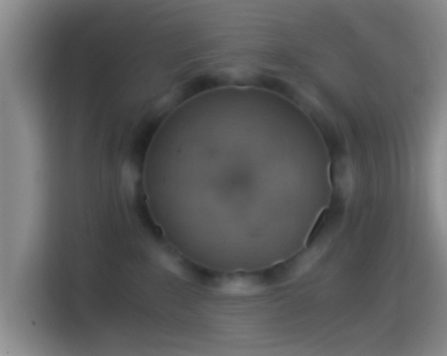 X0000114430235200910231240