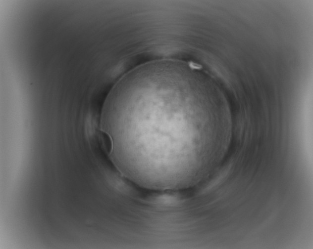 X0000114430236200910231240