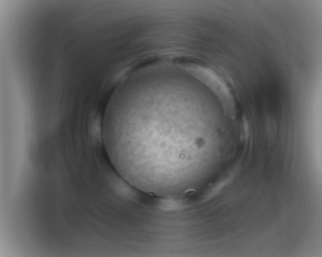 X0000114430238200910231240