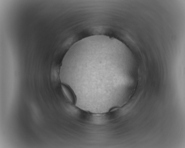 X0000114430240200910231240