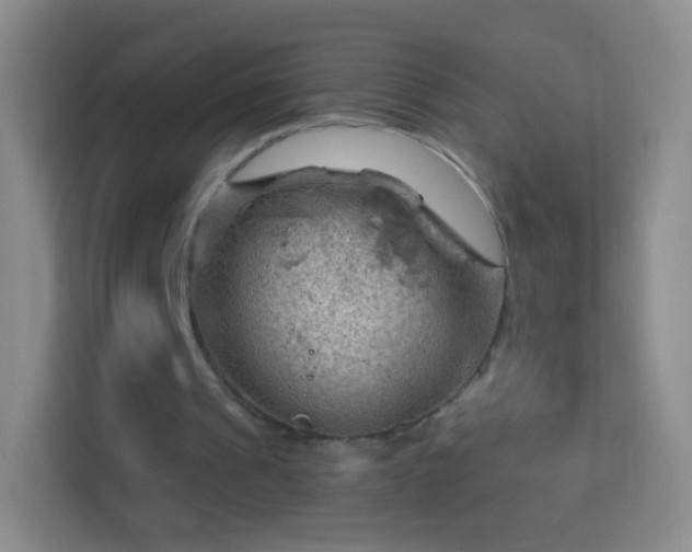 X0000114430241200910231239