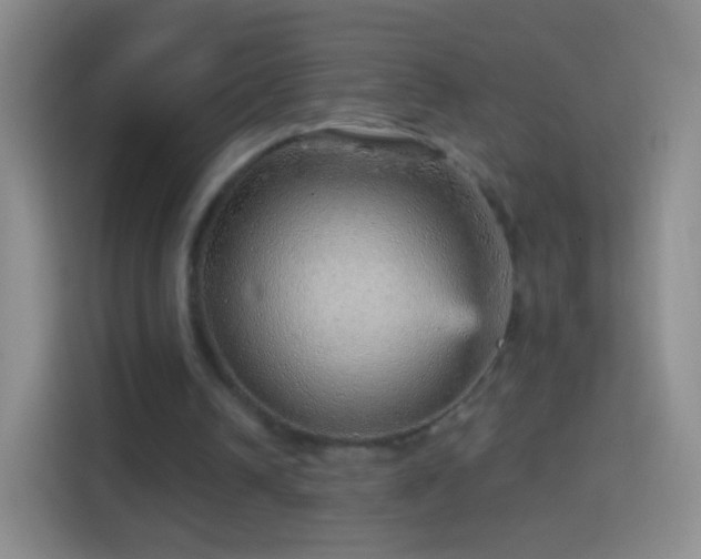 X0000114430242200910231239