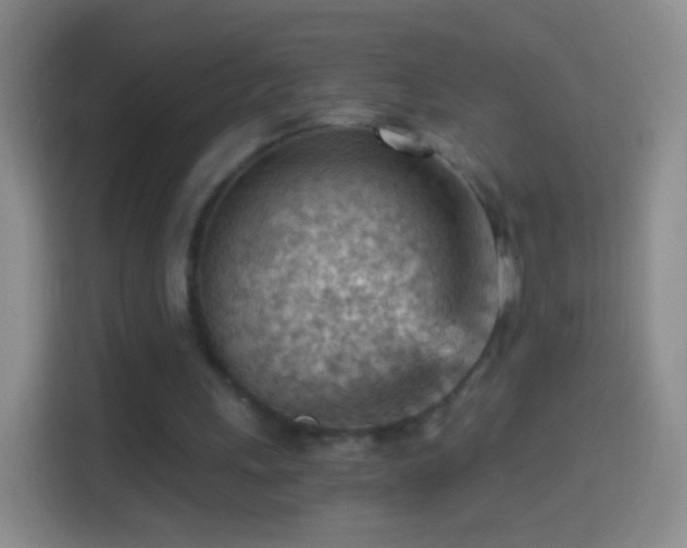X0000114430243200910231239