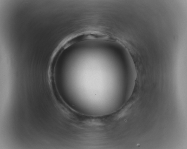 X0000114430244200910231239