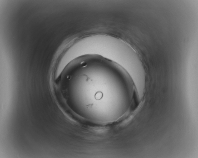 X0000114430245200910231239