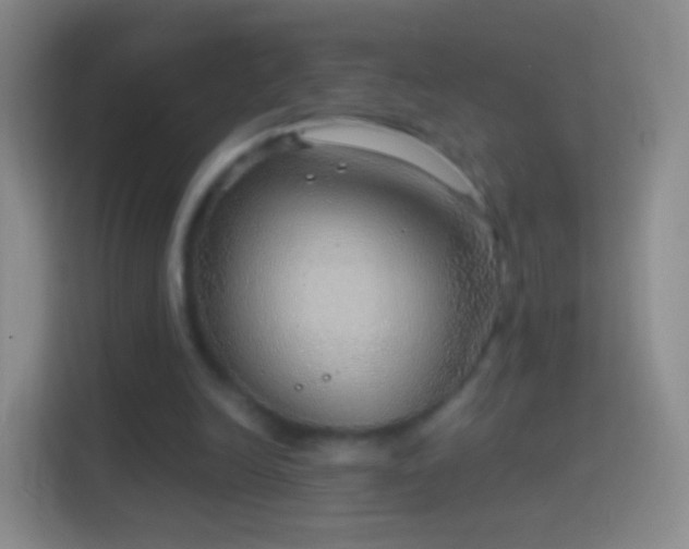 X0000114430246200910231239