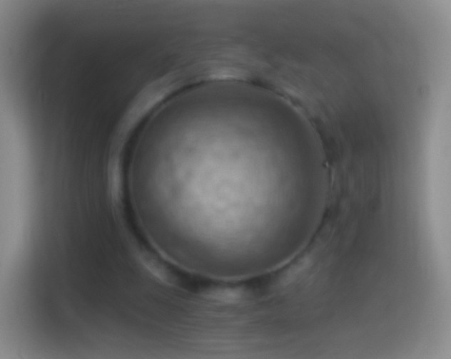 X0000114430247200910231239