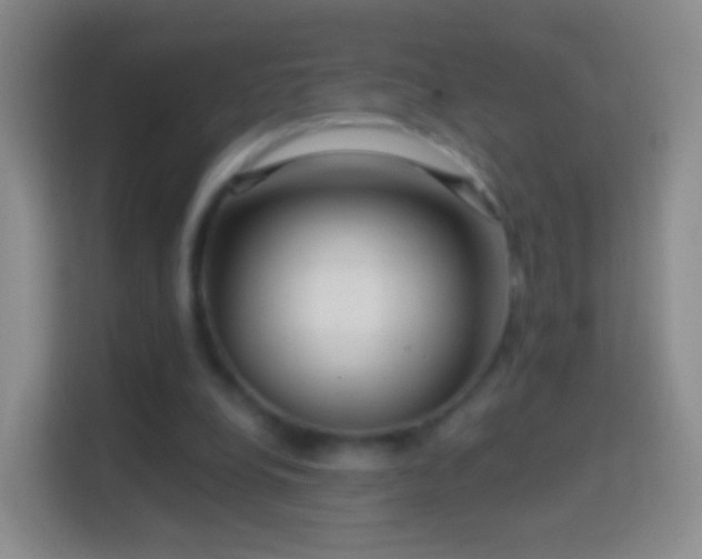 X0000114430248200910231239