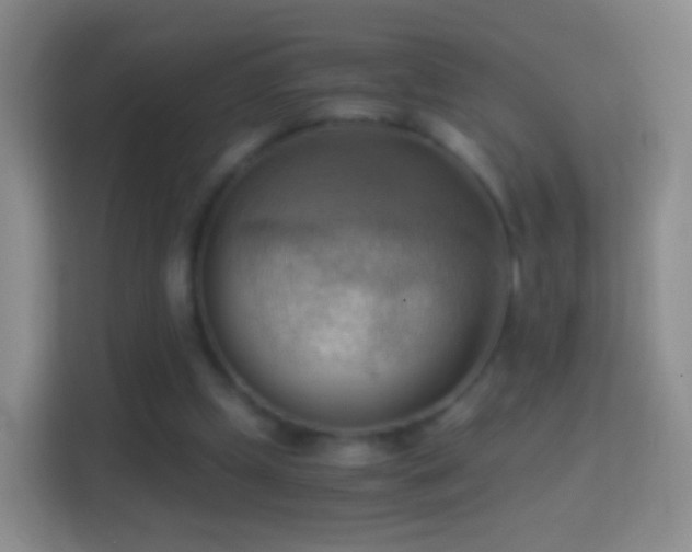 X0000114430249200910231239