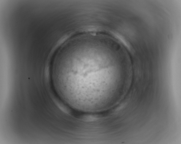 X0000114430250200910231239