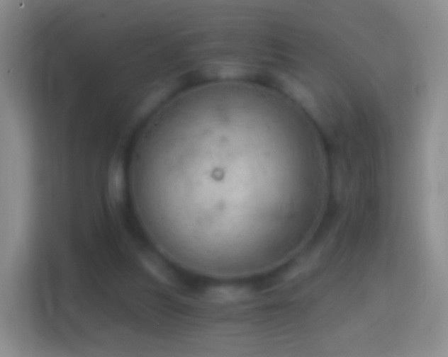 X0000114430251200910231239