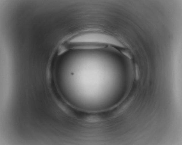 X0000114430252200910231239
