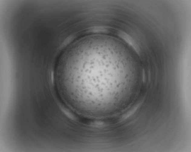 X0000114430253200910231239