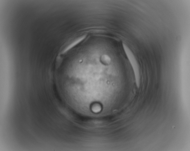 X0000114430255200910231239
