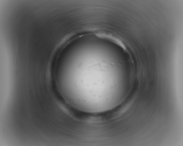 X0000114430256200910231239