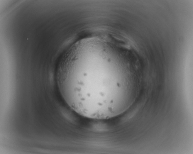 X0000114430258200910231239