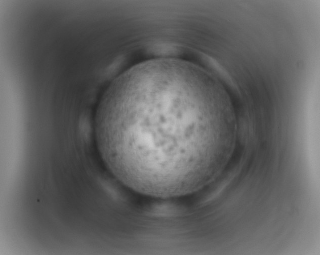 X0000114430259200910231239