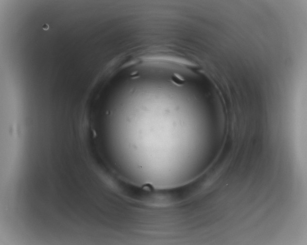 X0000114430260200910231239