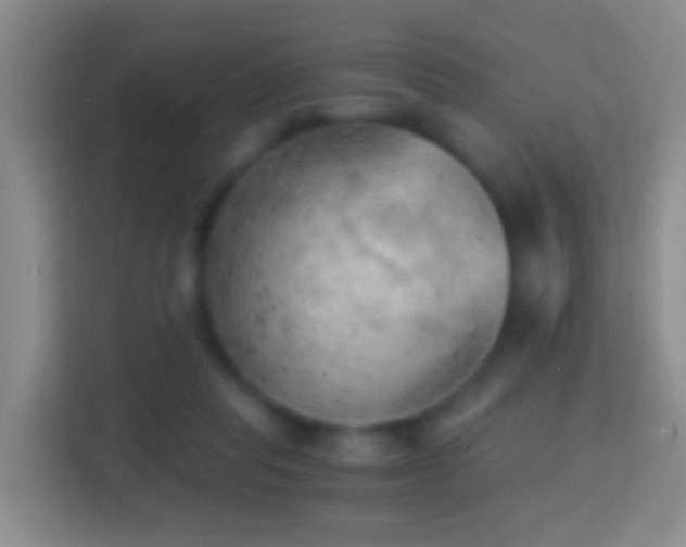 X0000114430261200910231239