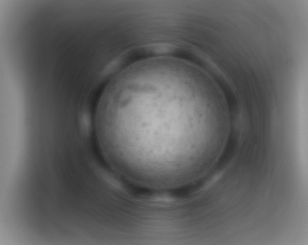 X0000114430262200910231239