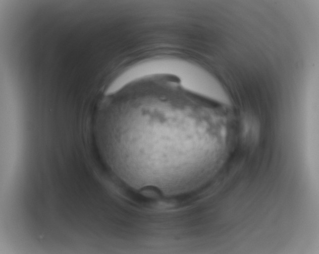 X0000114430263200910231239