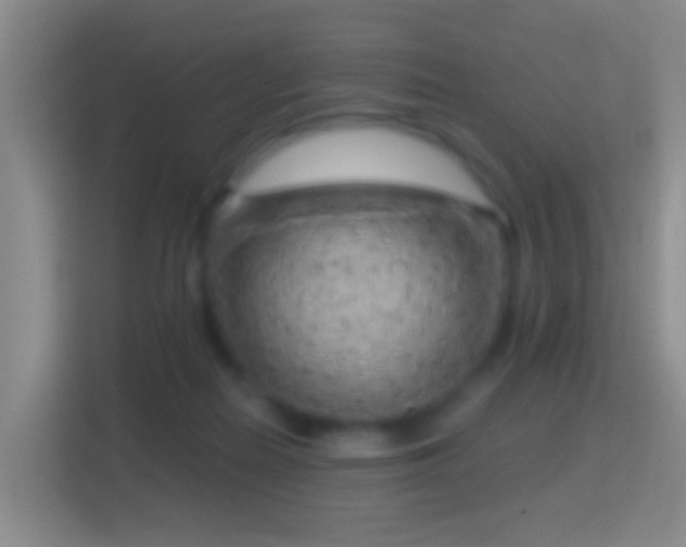 X0000114430266200910231239
