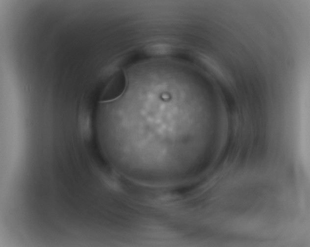X0000114430267200910231239