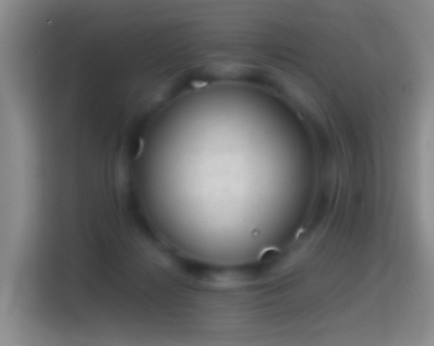 X0000114430268200910231239
