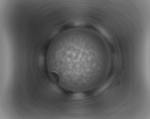 X0000114430269200910231239