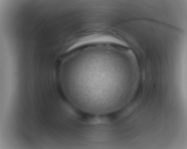 X0000114430270200910231239