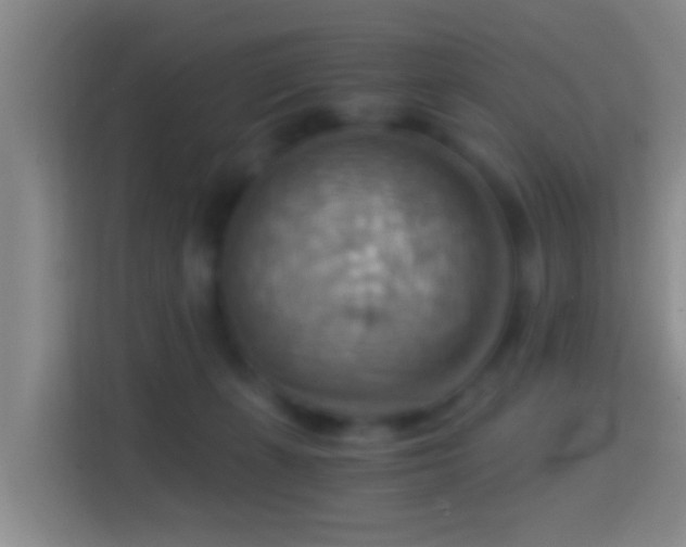 X0000114430271200910231239