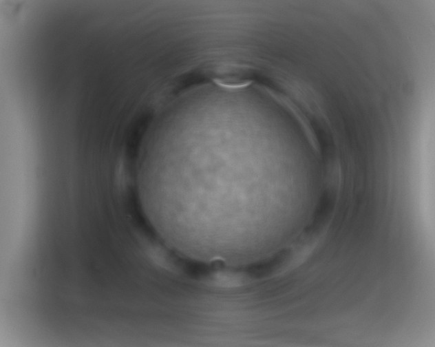 X0000114430272200910231240