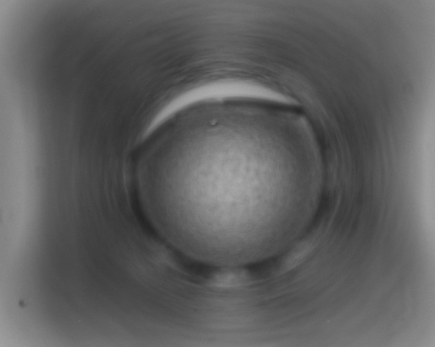 X0000114430274200910231240