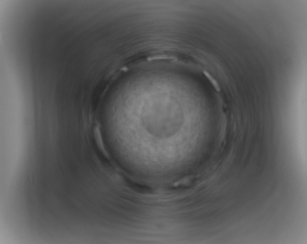 X0000114430276200910231240