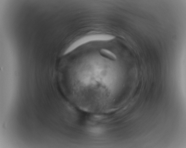 X0000114430277200910231240