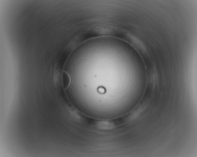 X0000114430281200910231240